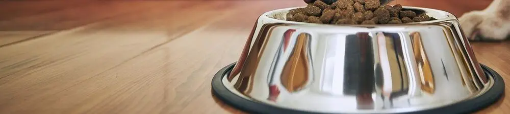 革新宠物食品的未来