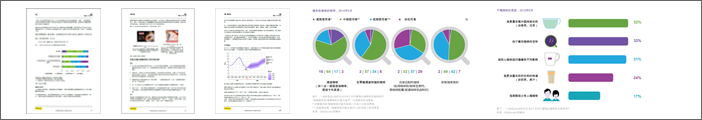 China-report-Chartsample2